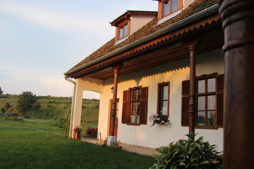 Matievics Boraszat Es Vendeghaz Hotel Szalka Exterior photo